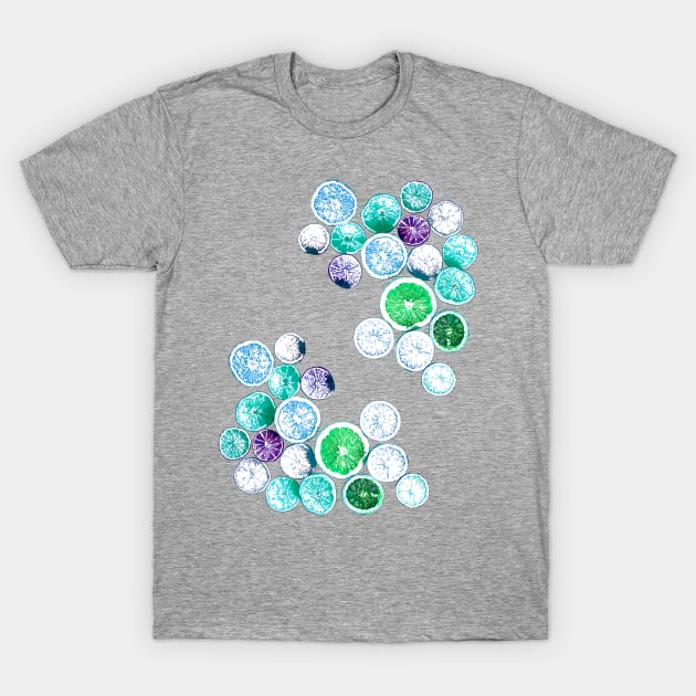 Light Blue Fruit Slices T-Shirt by JimT